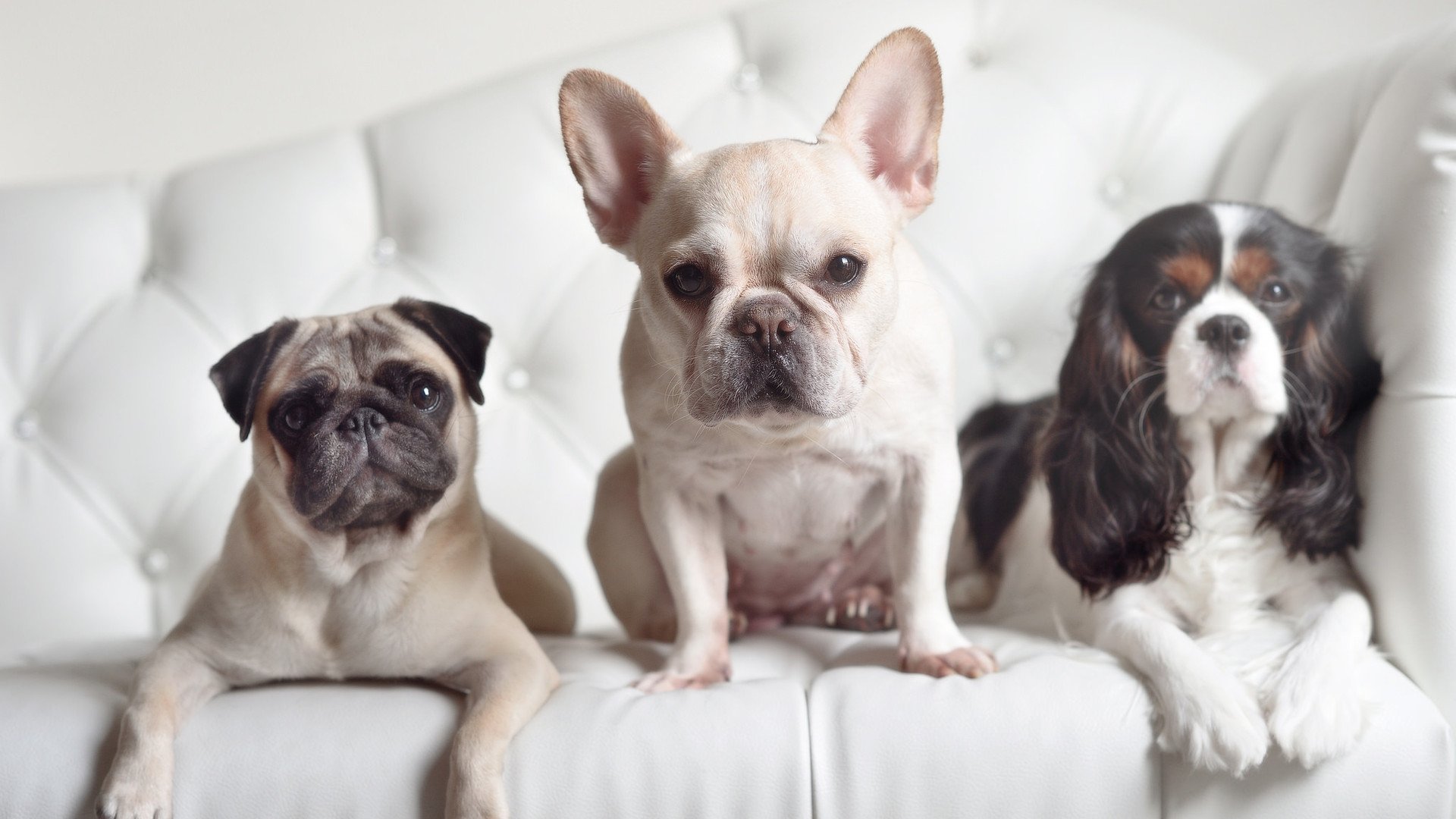 开云体育在线-哈弗茨，用优雅统治战场—西班牙对阵爱尔兰的全能枢纽解析