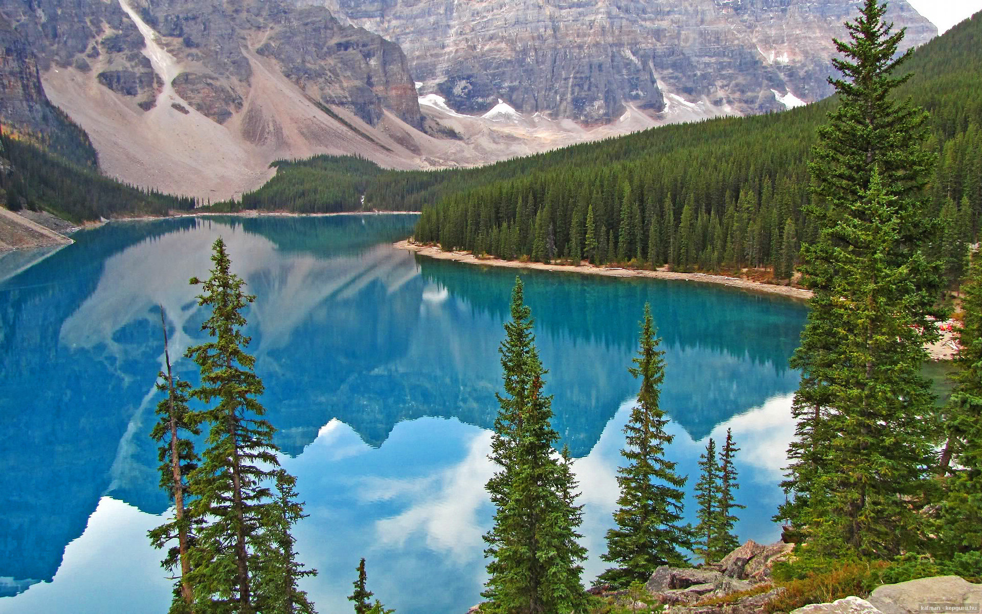 开云APP-季后赛风云，灰熊绝杀黄蜂，武切维奇独揽胜局显神威