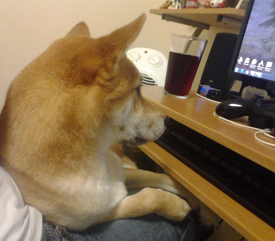 跨越大陆的足球之光,秘鲁的坚韧哲学与维尼修斯的艺术革命