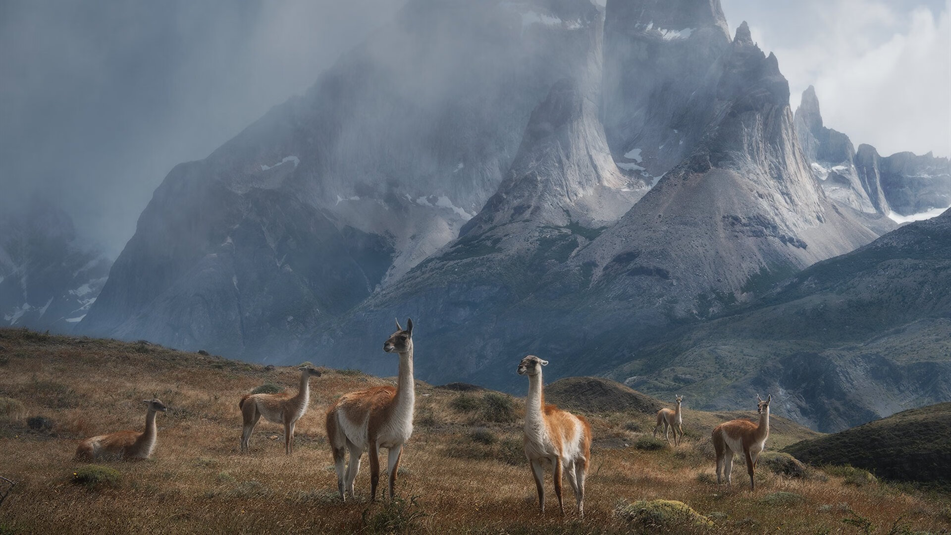 贝林厄姆爆发引领胜利，乌拉圭强势压制爱尔兰—足球赛场上的激情与战术博弈