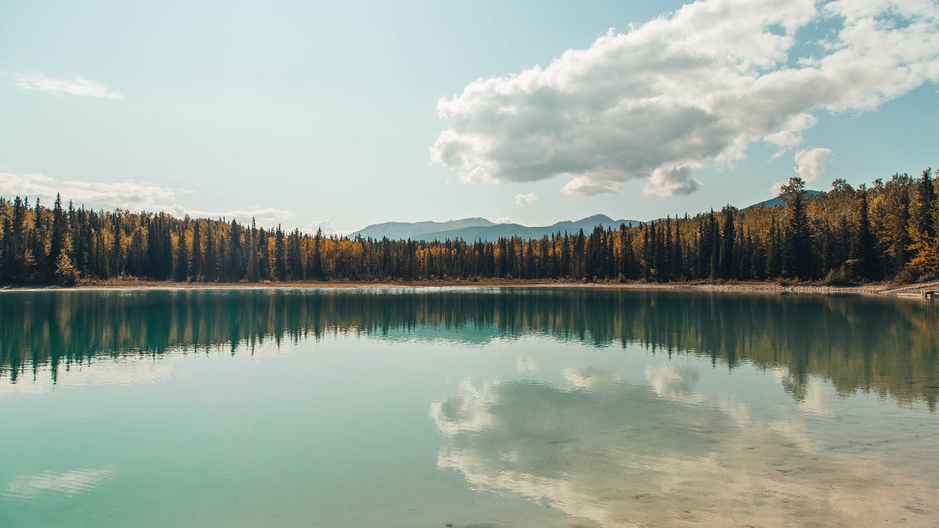 里昂时代,当福登用双足谱写中场统治学
