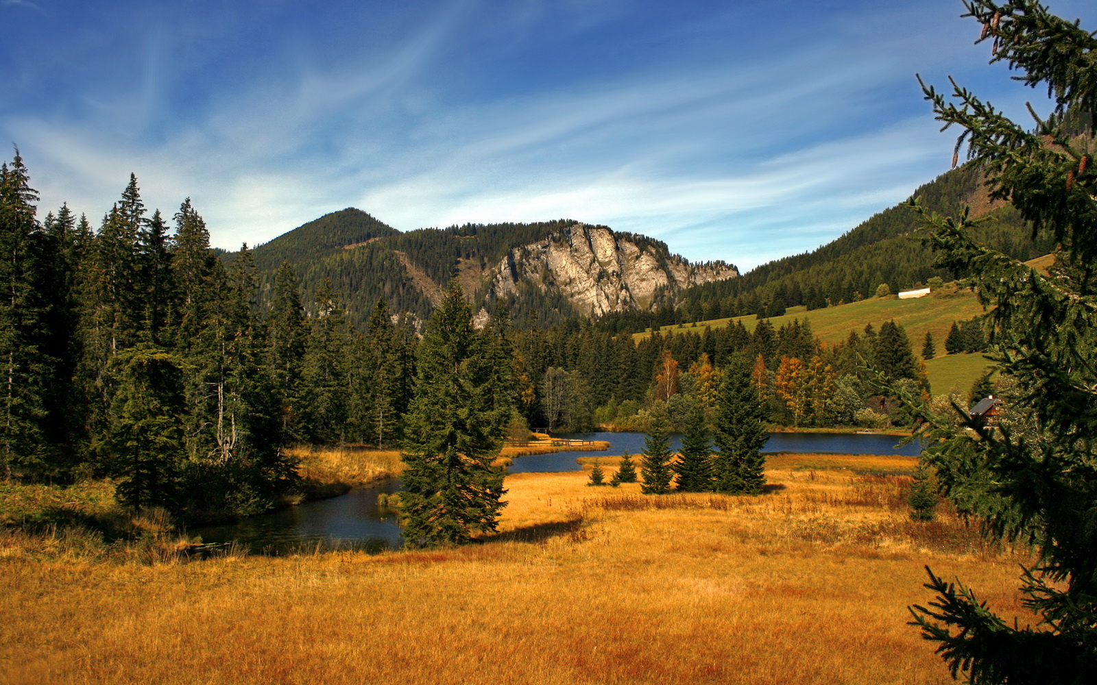 沙特对阵瑞士，奥斯梅恩的救赎，在寂静与喧嚣之间