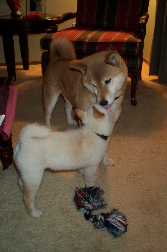 底特律的暴风雪,活塞狂胜马刺,哈登成为关键先生