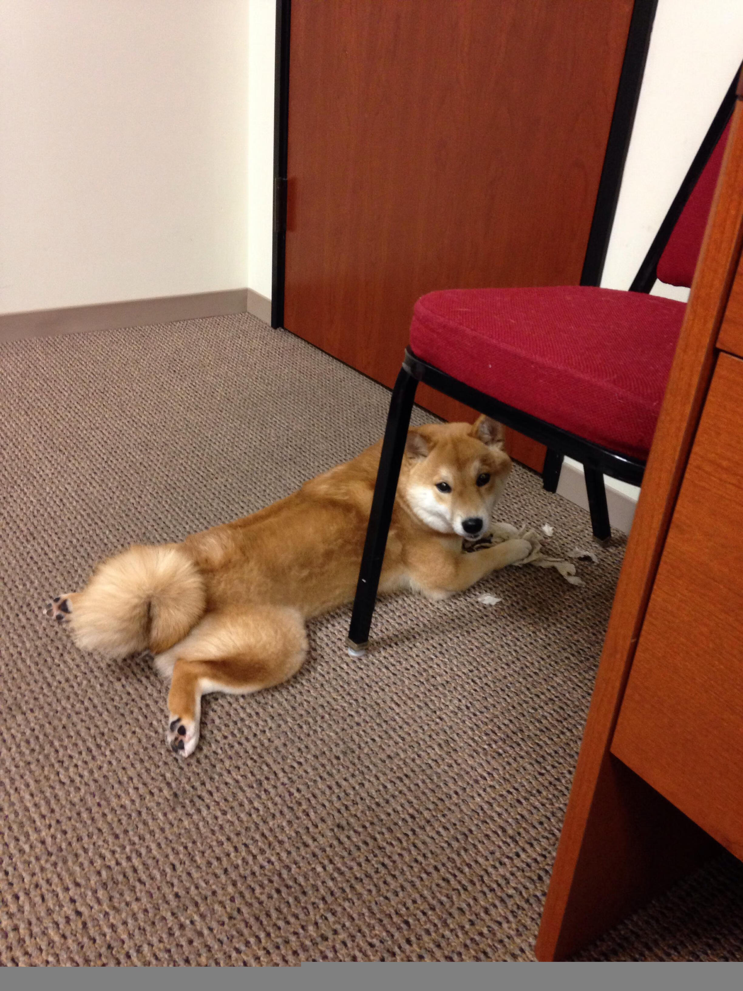 铁闸显神威，富安健洋锁死对手助摩纳哥巅峰战险胜瑞士劲旅