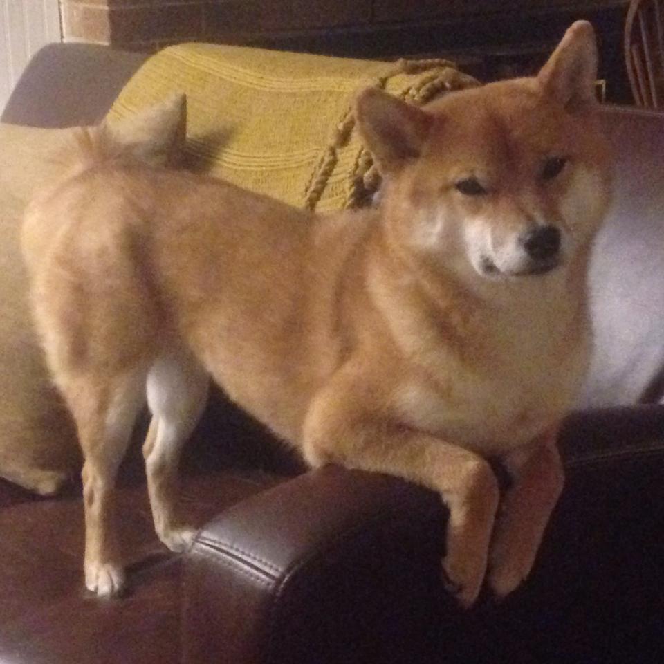 铁血南美风暴！巴拉圭鏖战力克喀麦隆，2026世界杯硬仗启示录