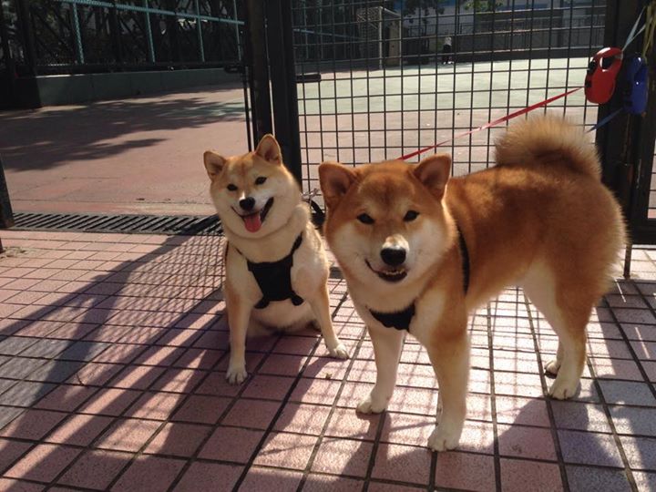 从个体闪耀到团队铁壁，舞台与高压下的足球新哲学