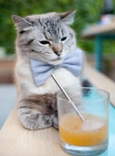 雷恩战术封锁葡萄牙，皮克奥运关键战主宰赛场