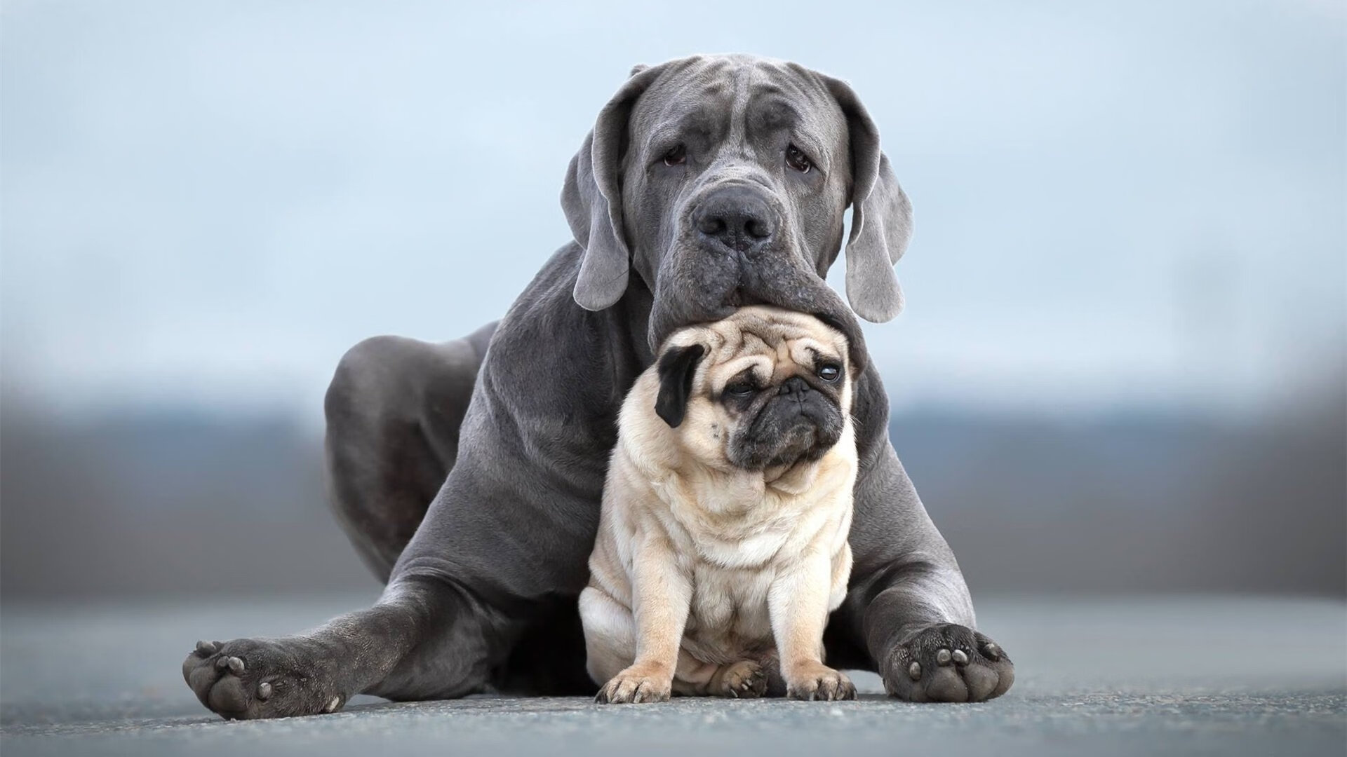 巅峰对决，詹姆斯手起刀落定乾坤，雷霆团队风暴震浙江