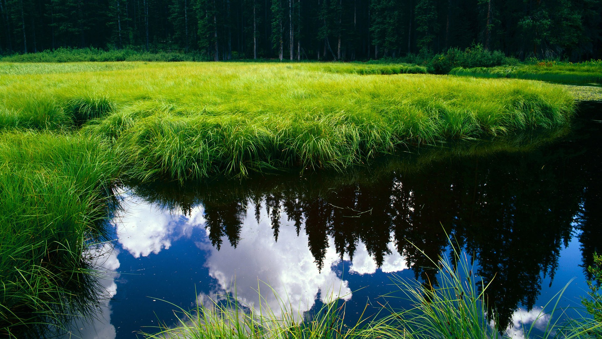 开云体育app-破局！巴萨关键战突围威尔士夜空，维尼修斯双响定江山